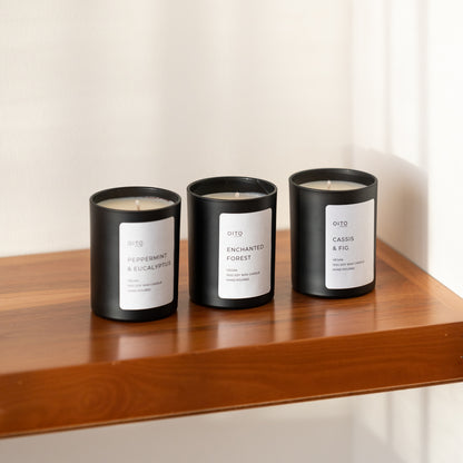 Cassis and Fig - 40-hour candle